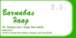 barnabas haag business card