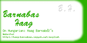 barnabas haag business card